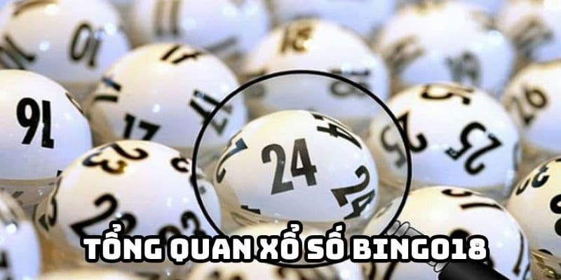 Hình thức xổ số Bingo18 siêu hấp dẫn tại Xin88